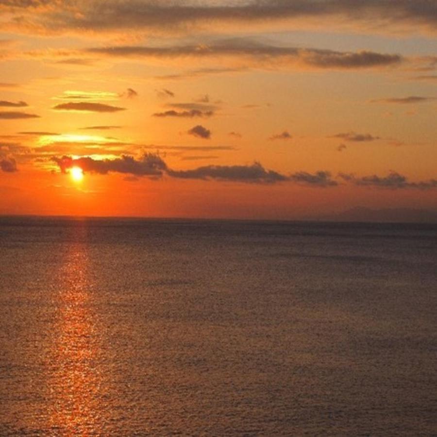 森の入り江の離れ宿 無雙庵枇杷 Izu  Extérieur photo